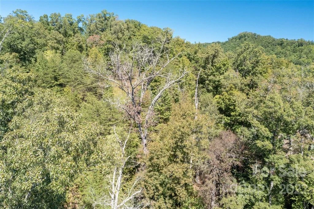 00 Rock Ledge Drive #305 - Photo 31