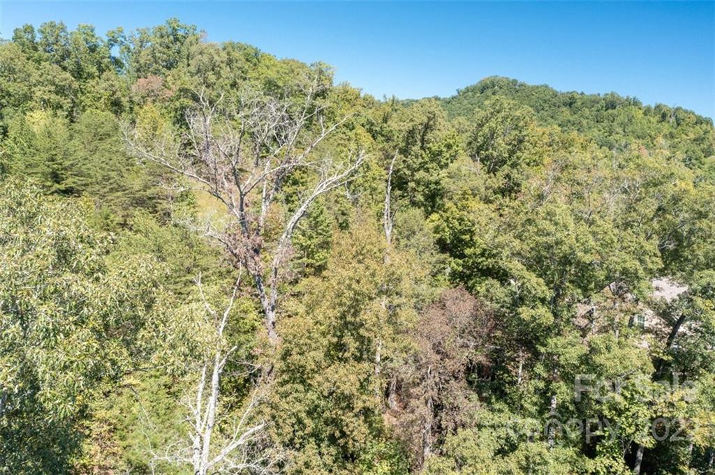 00 Rock Ledge Drive #305 - Photo 32