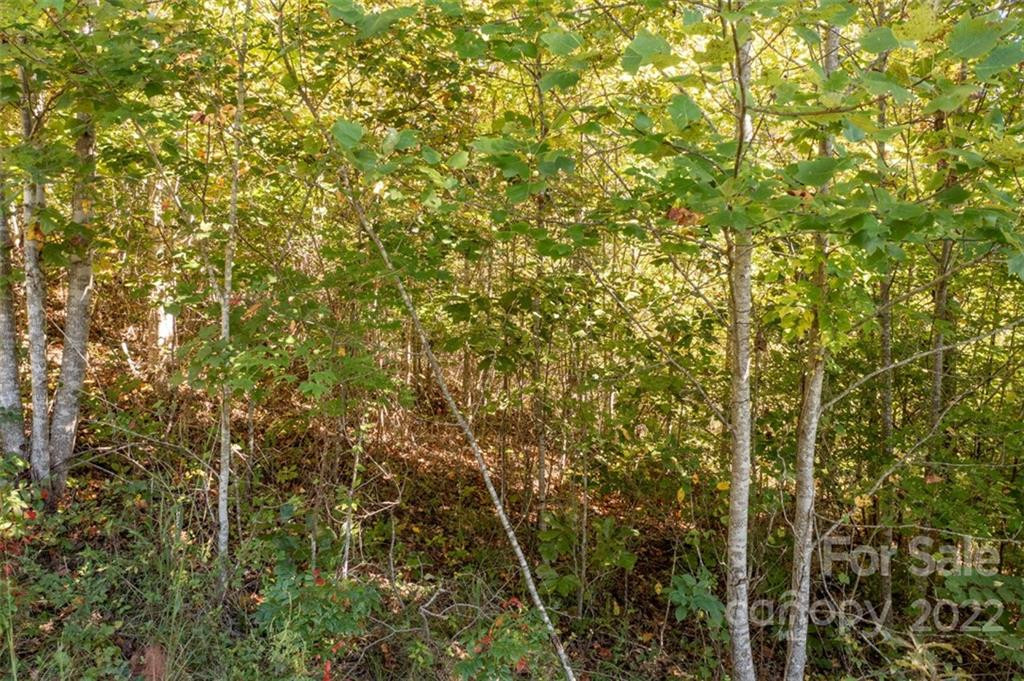 00 Rock Ledge Drive #305 - Photo 34