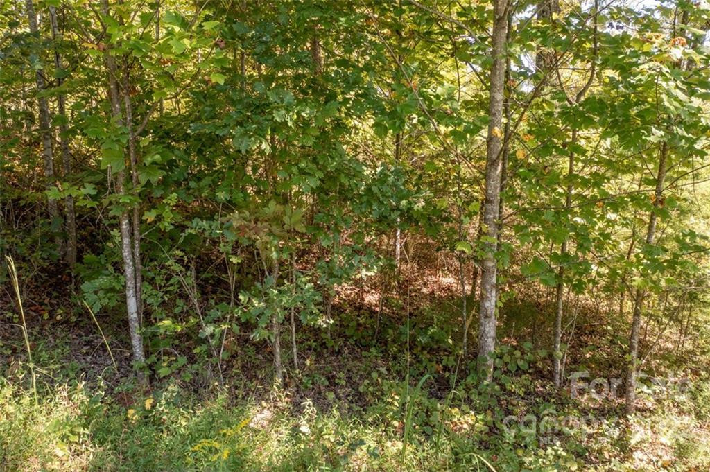 00 Rock Ledge Drive #305 - Photo 35