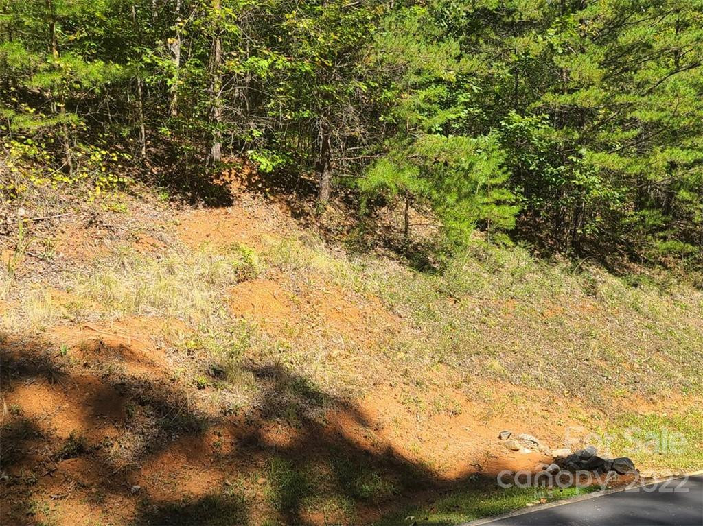 00 Rock Ledge Drive #305 - Photo 5