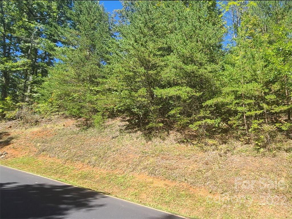 00 Rock Ledge Drive #305 - Photo 7