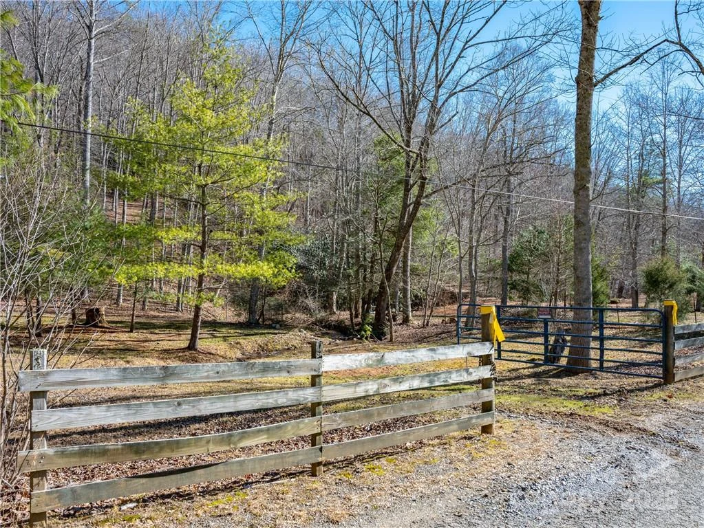 TBD Long Branch Road - Photo 2