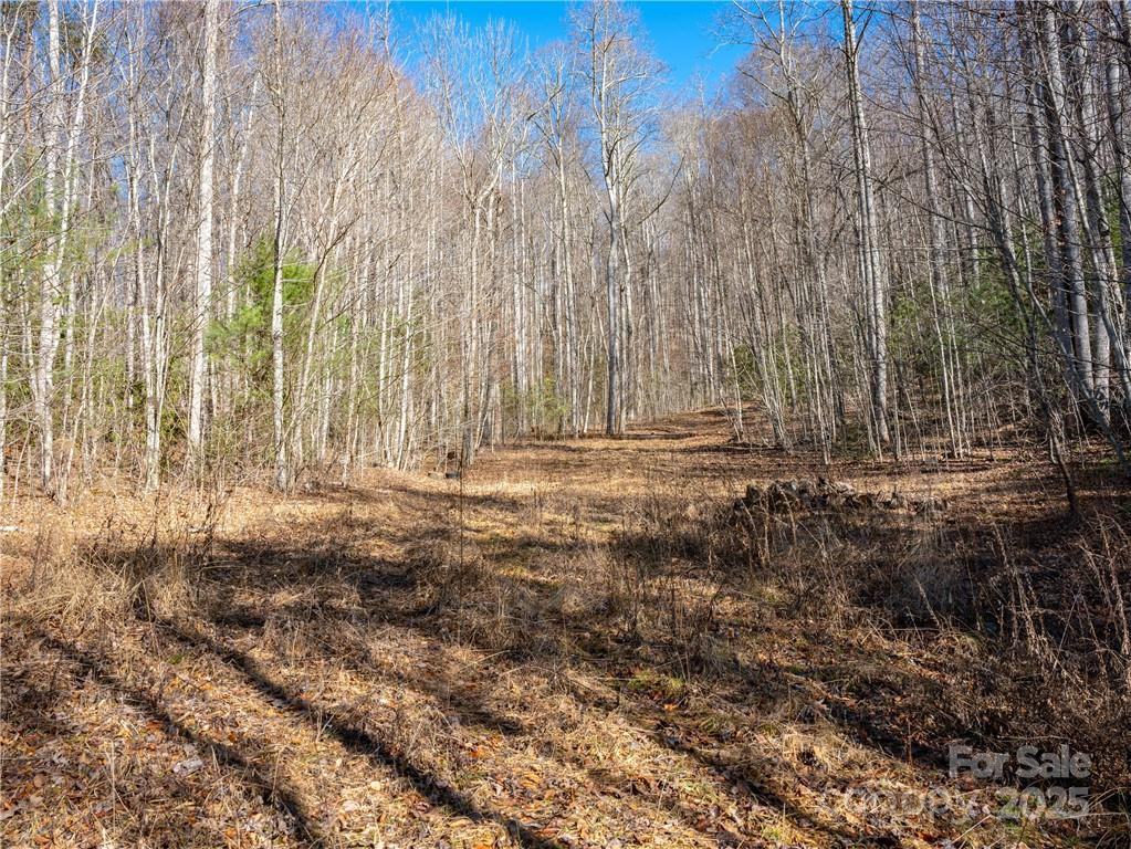 TBD Long Branch Road - Photo 11