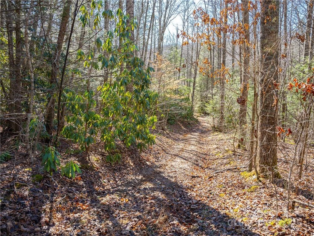 TBD Long Branch Road - Photo 12