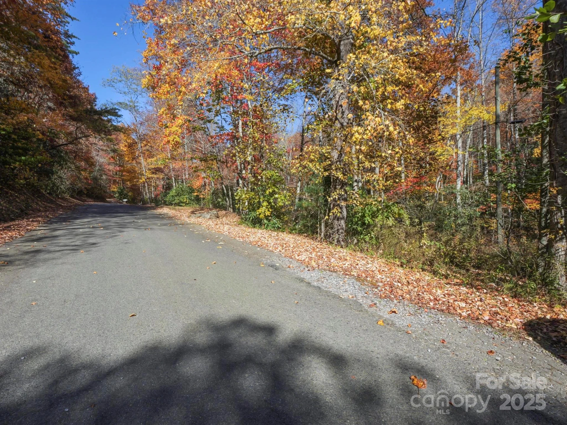 TBD Long Branch Road - Photo 13