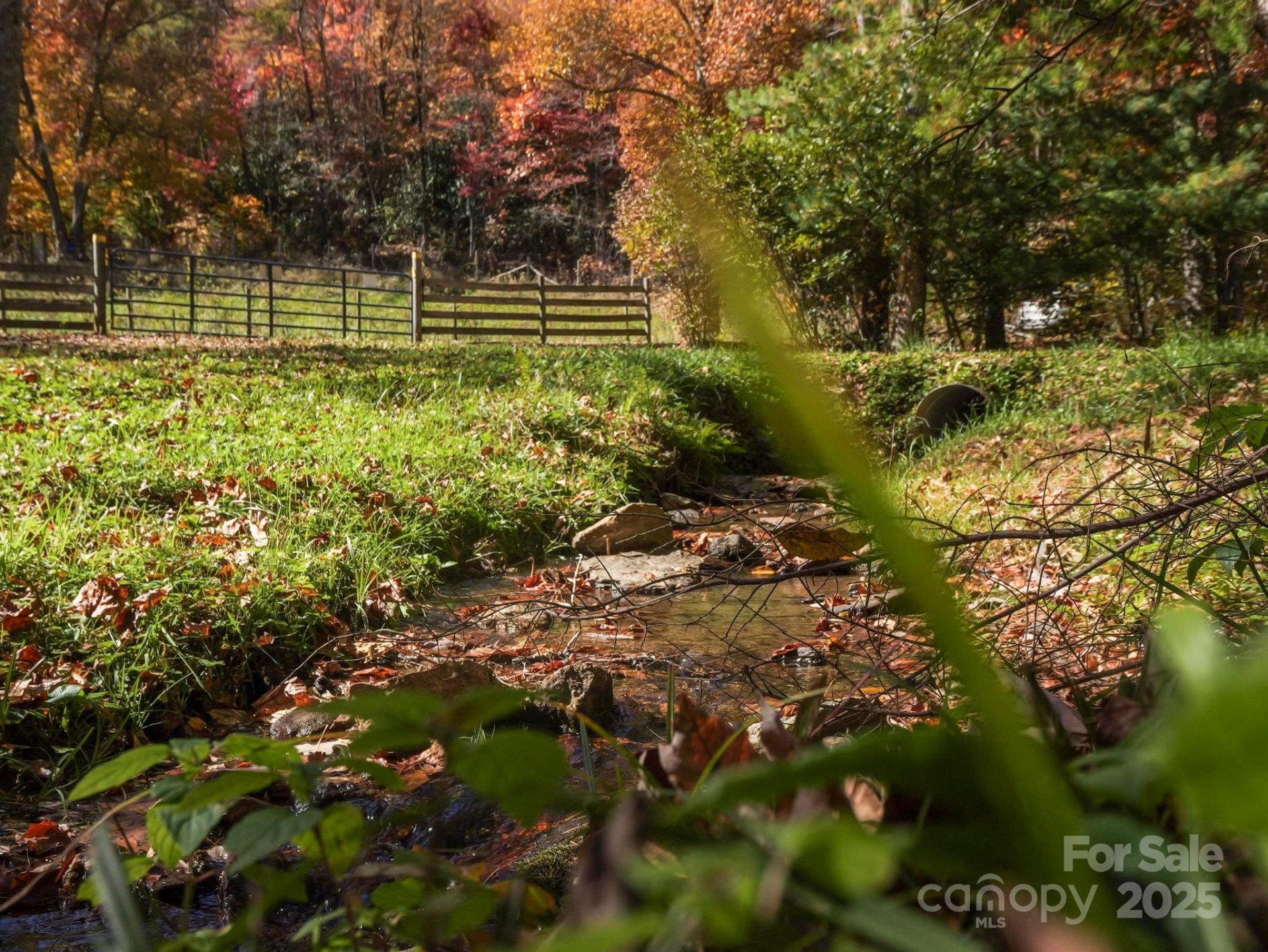 TBD Long Branch Road - Photo 14