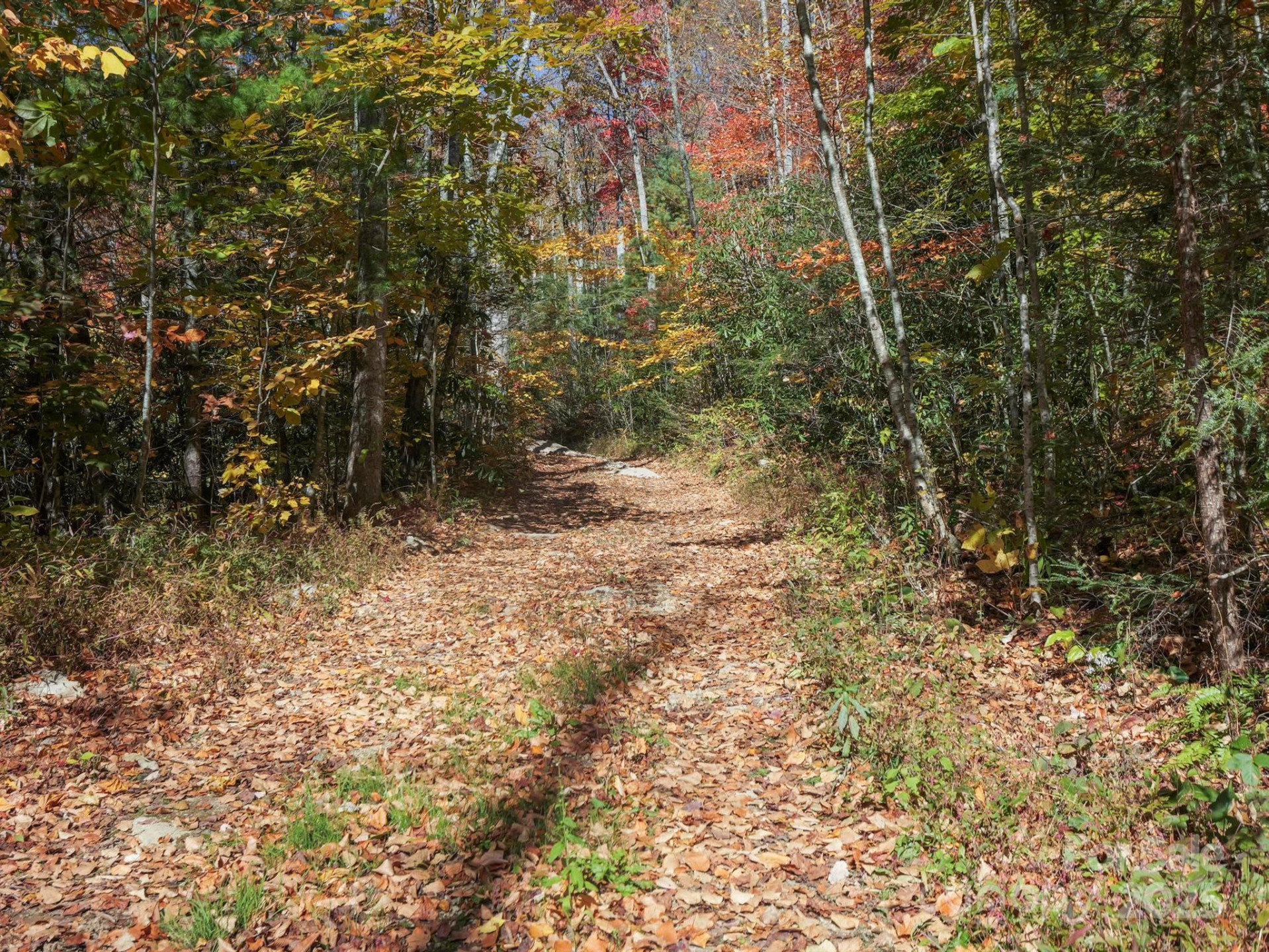 TBD Long Branch Road - Photo 15