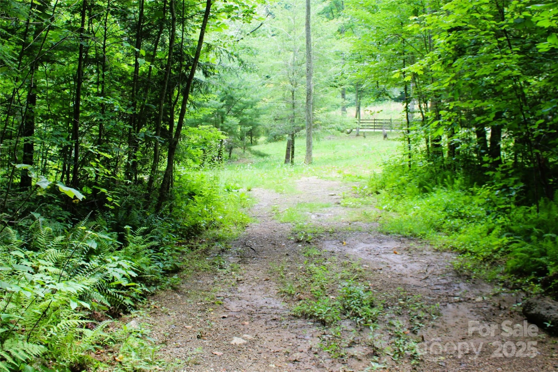 TBD Long Branch Road - Photo 16