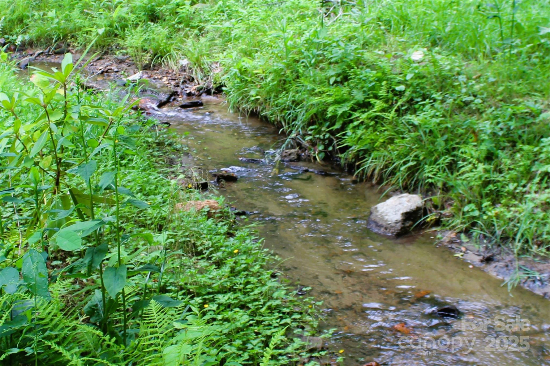 TBD Long Branch Road - Photo 17