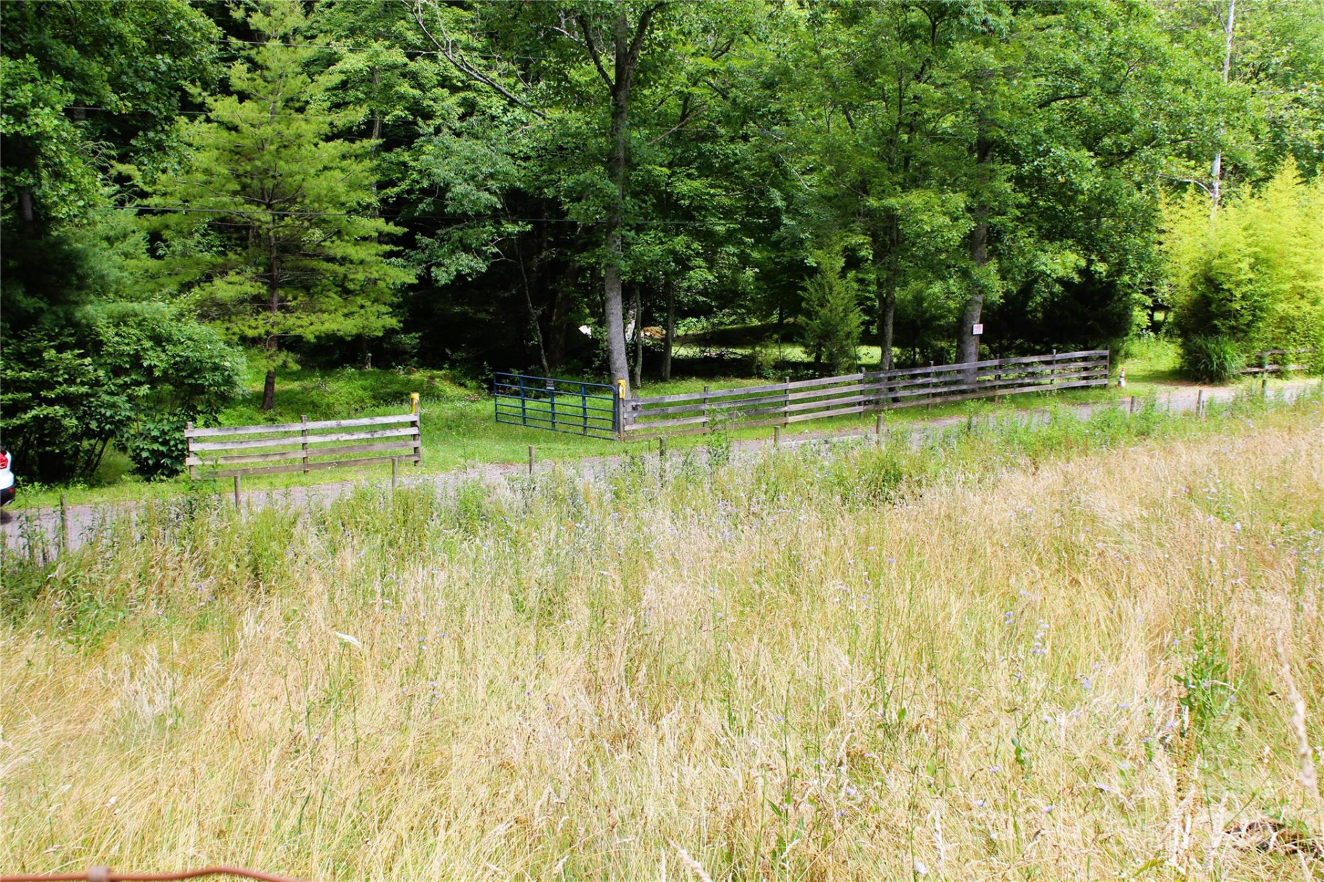 TBD Long Branch Road - Photo 18