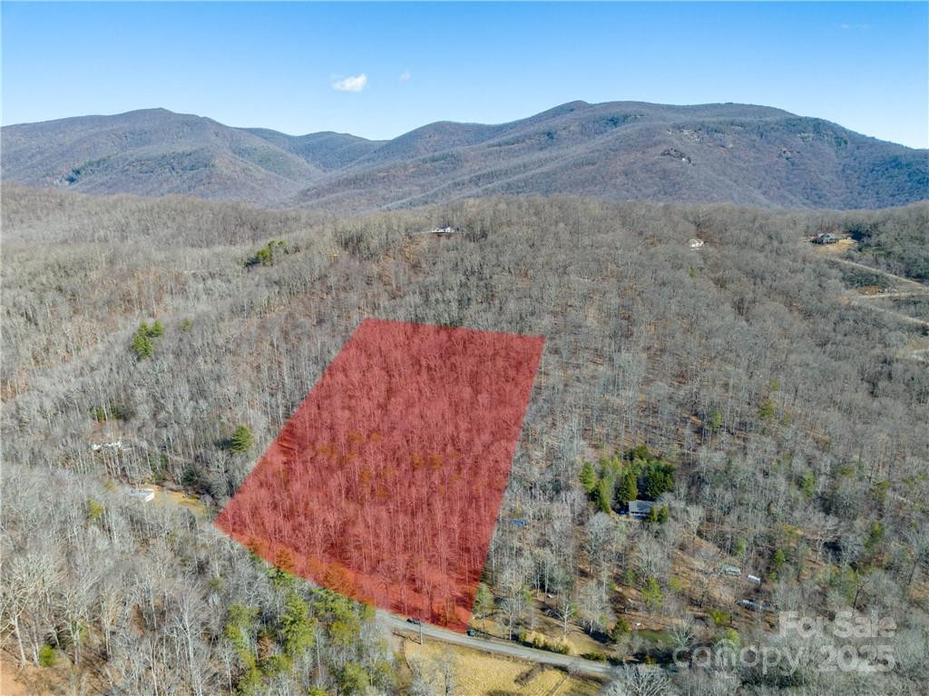 TBD Long Branch Road - Photo 6