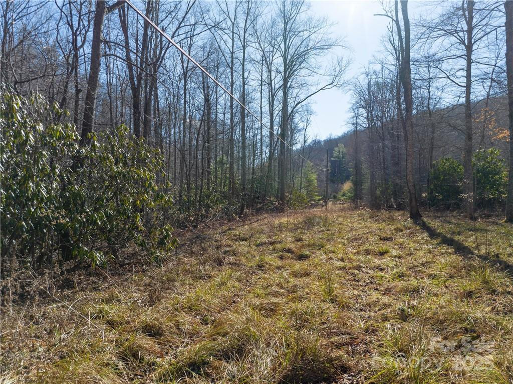 TBD Long Branch Road - Photo 8