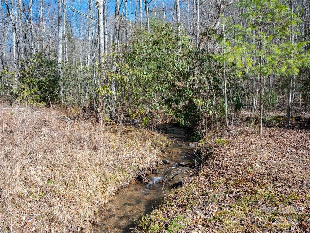TBD Long Branch Road - Photo 9