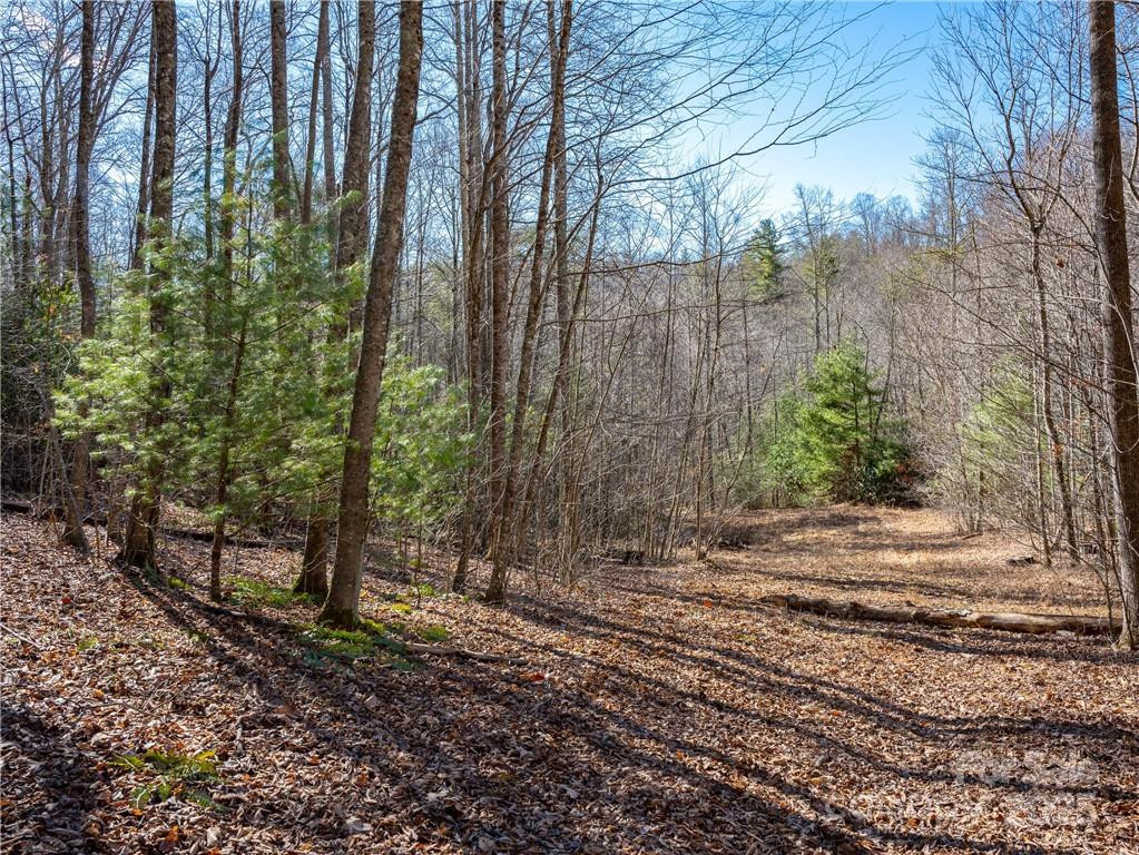 TBD Long Branch Road - Photo 10