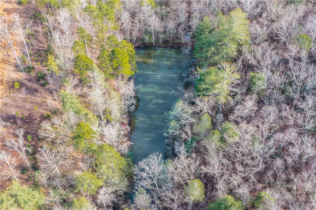 V/L Hwy 126 Highway - Photo 4