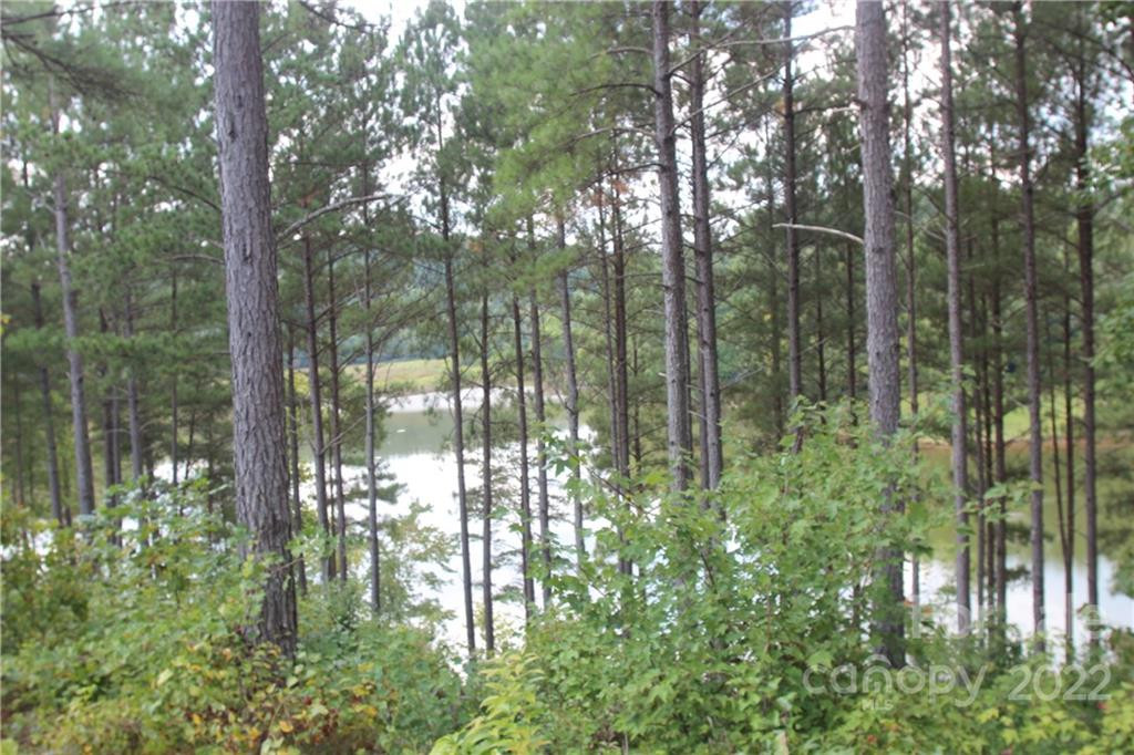 2038 Inlet Shore Road #24 - Photo 11