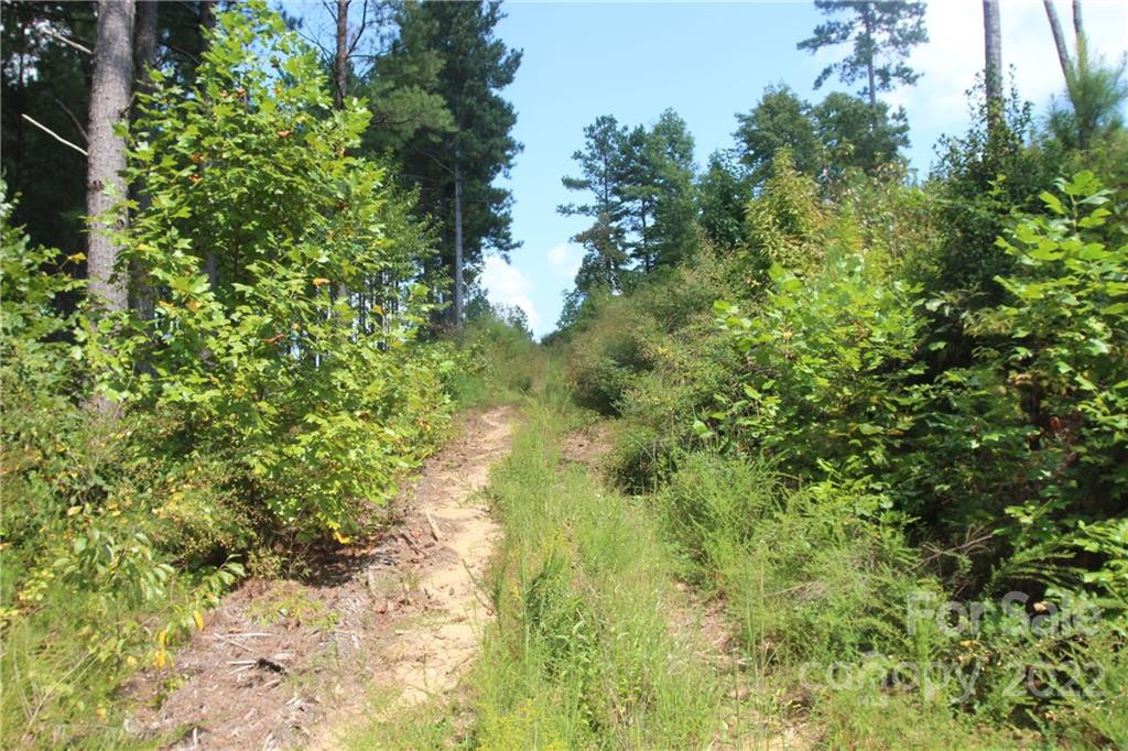 2038 Inlet Shore Road #24 - Photo 10