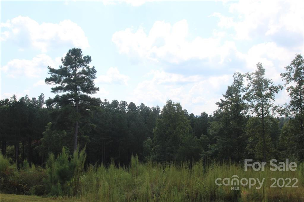 2048 Inlet Shore Road #25 - Photo 4