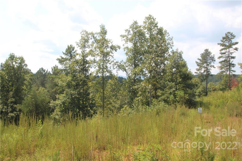 2048 Inlet Shore Road #25 - Photo 8