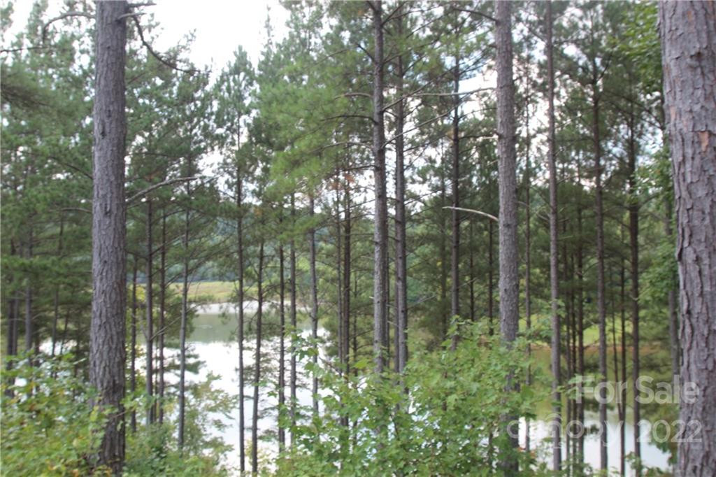 2048 Inlet Shore Road #25 - Photo 10