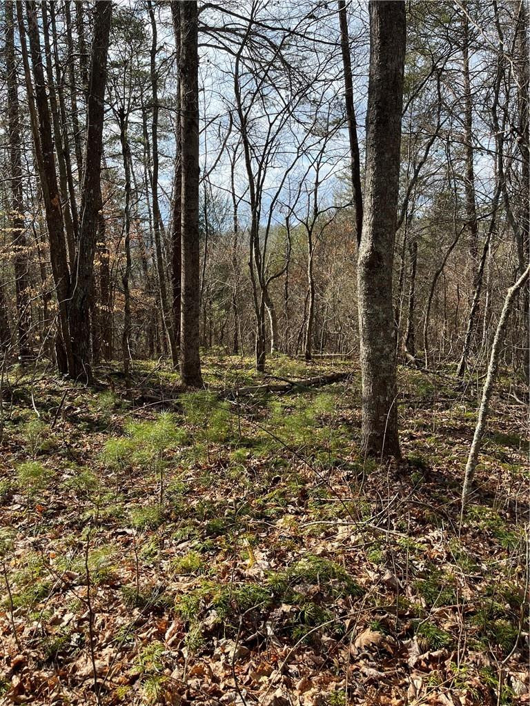 999B Sams Crossing - Photo 2