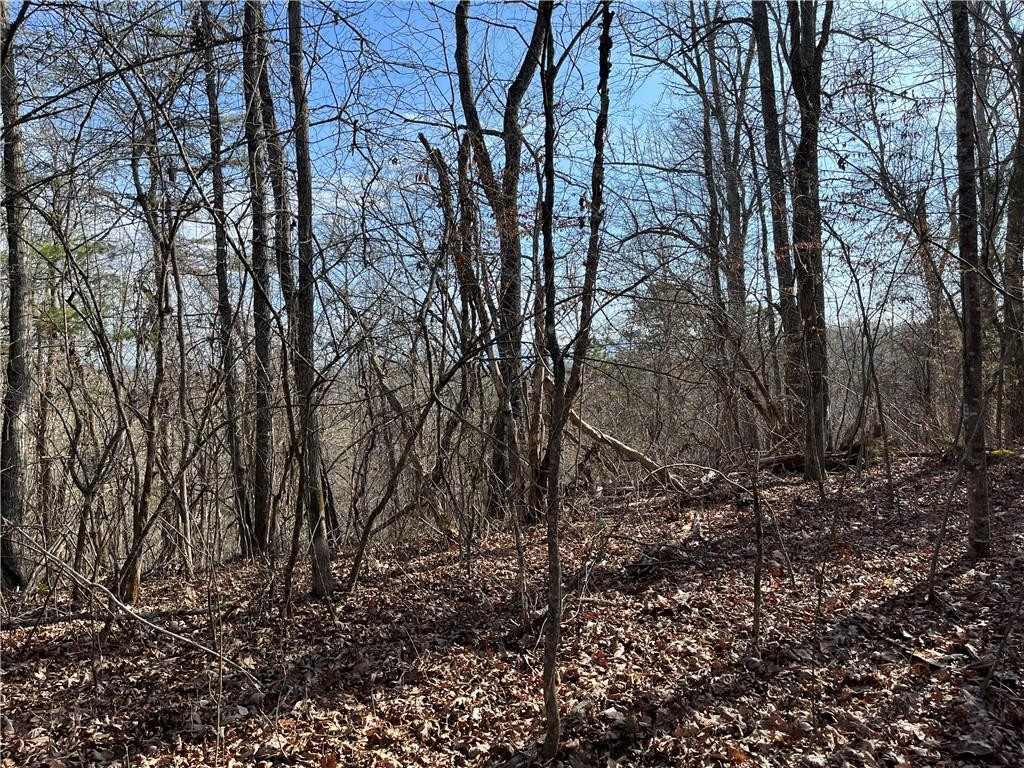 999B Sams Crossing - Photo 3