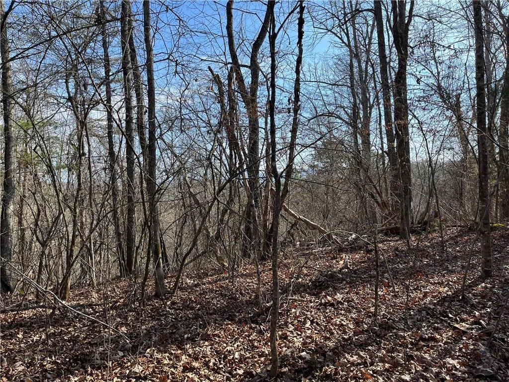 999B Sams Crossing - Photo 3