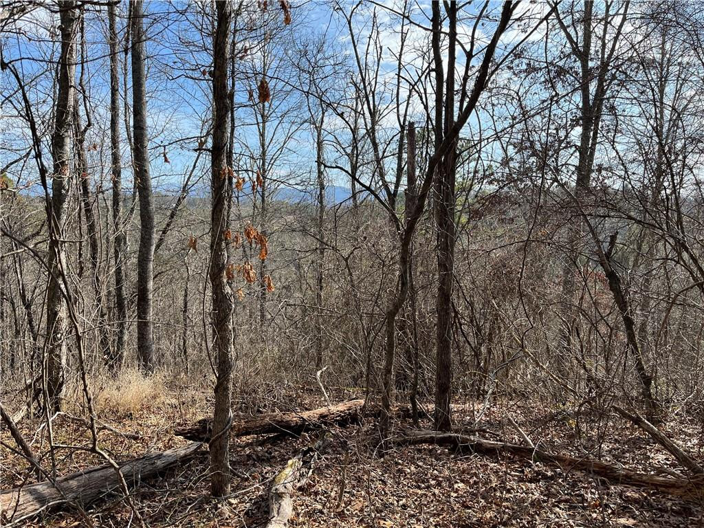 999B Sams Crossing - Photo 4