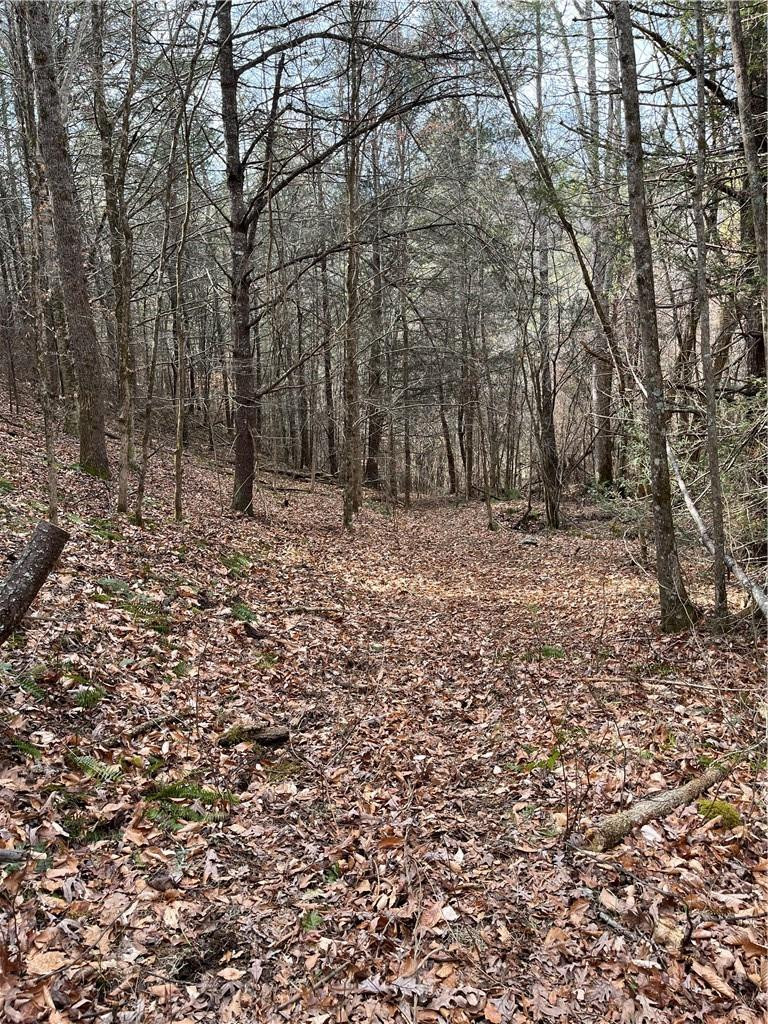 999B Sams Crossing - Photo 5