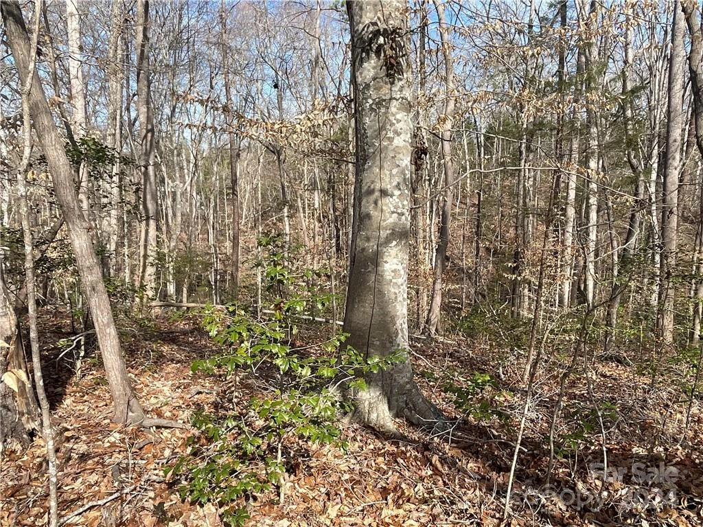 161 Little River Trail - Photo 11