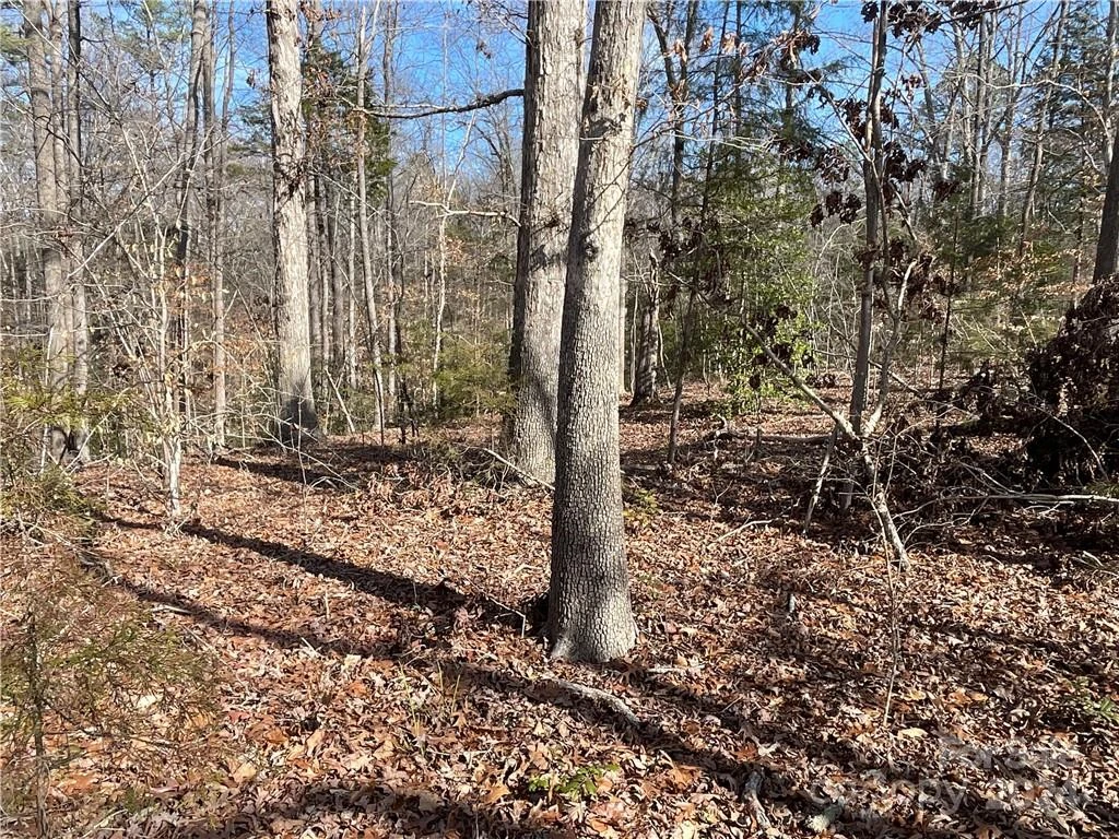 161 Little River Trail - Photo 12