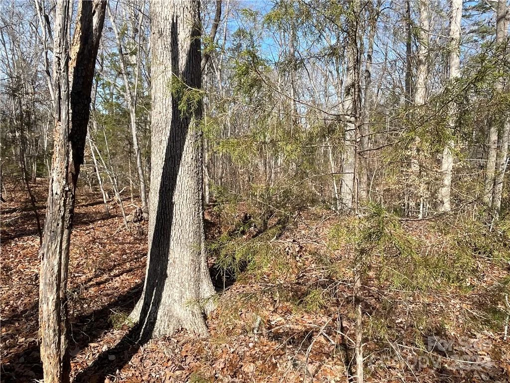 161 Little River Trail - Photo 13