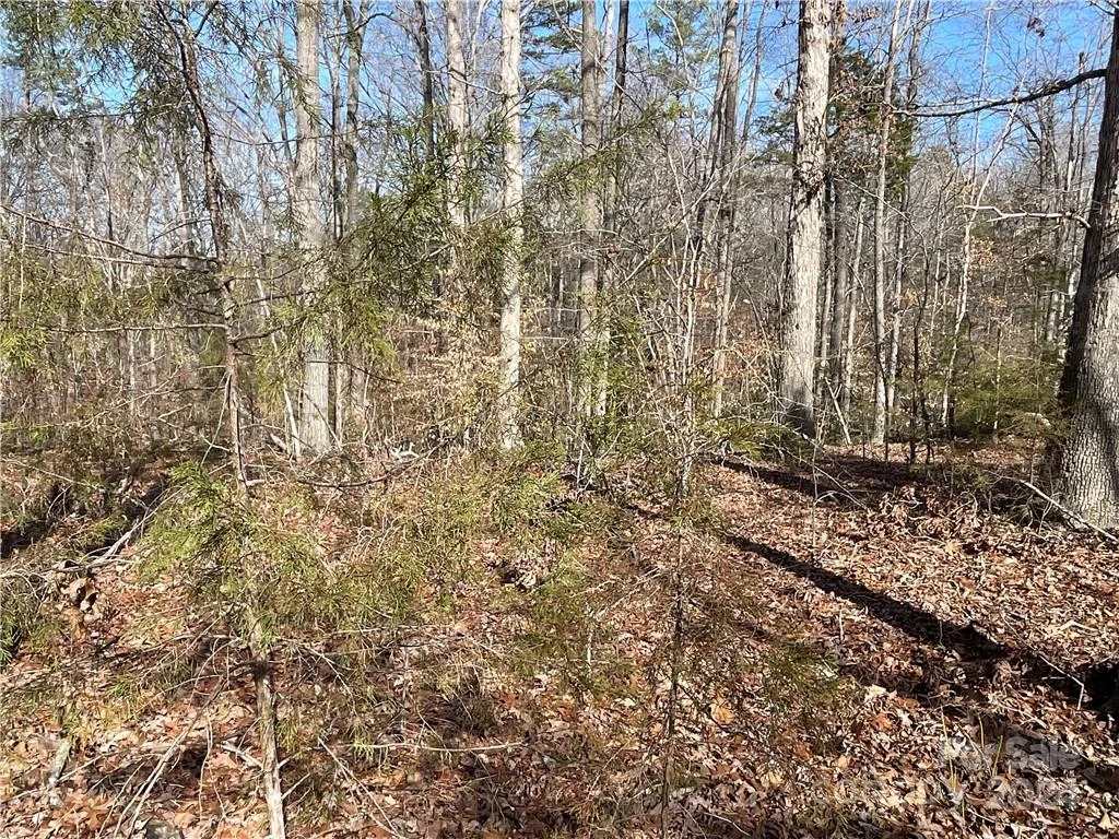161 Little River Trail - Photo 14