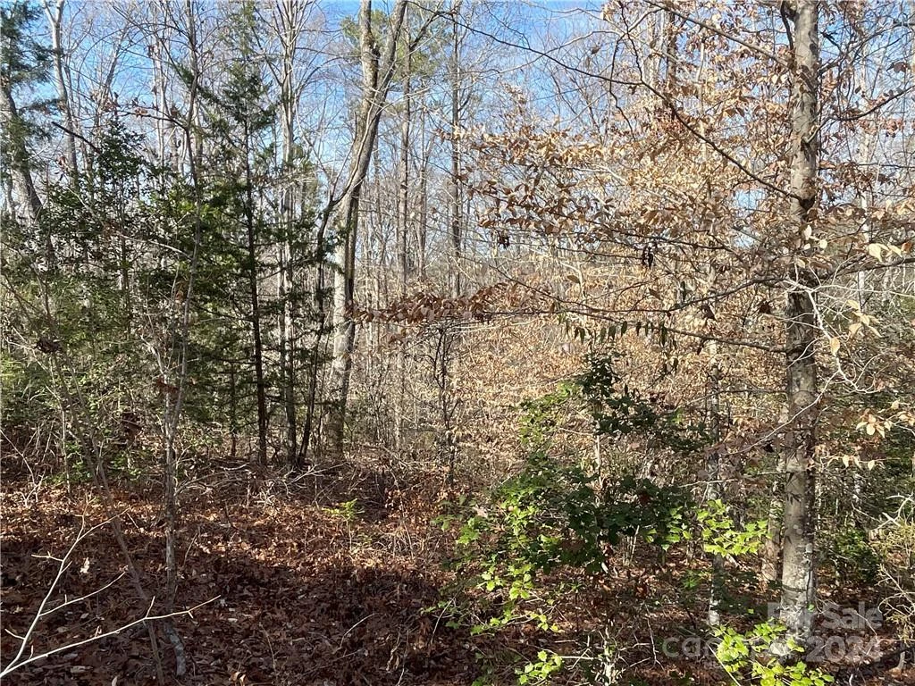 161 Little River Trail - Photo 15