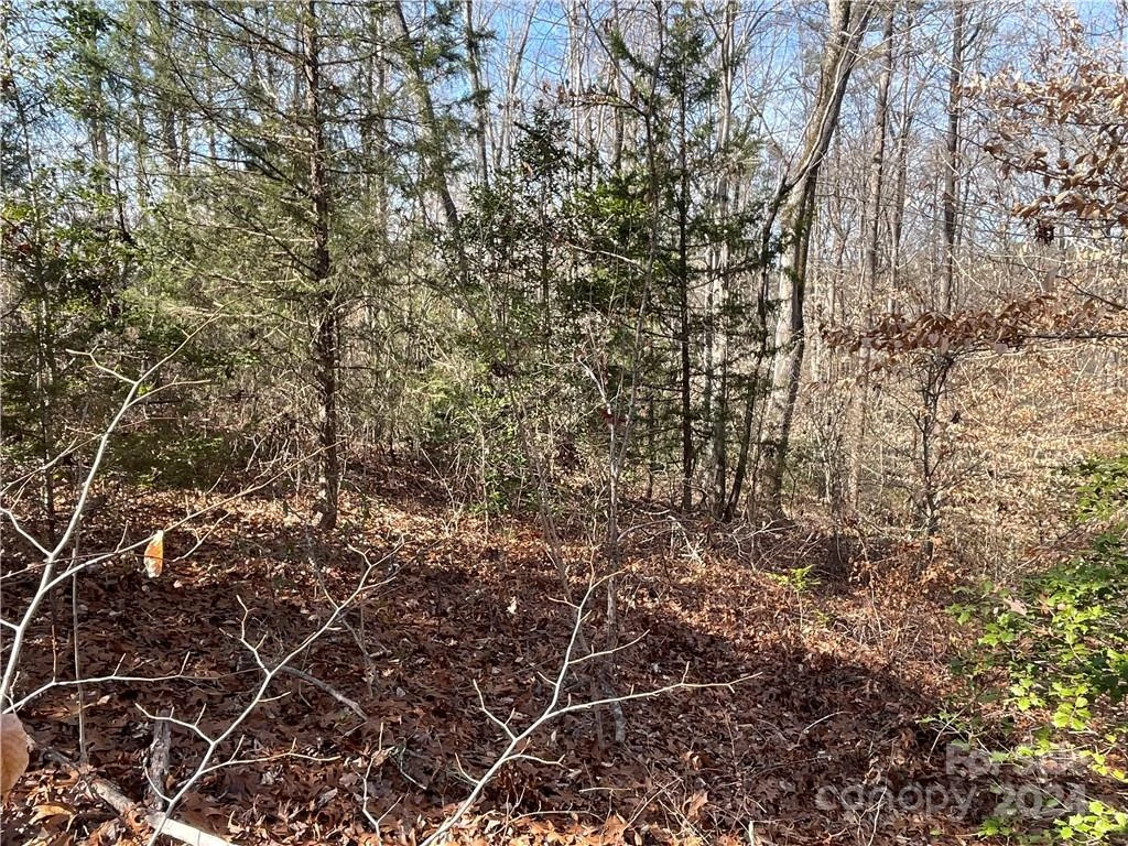 161 Little River Trail - Photo 16
