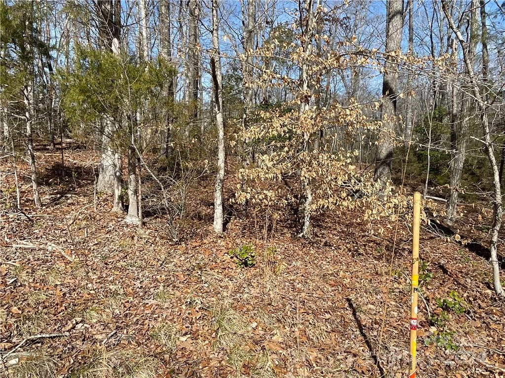161 Little River Trail - Photo 17