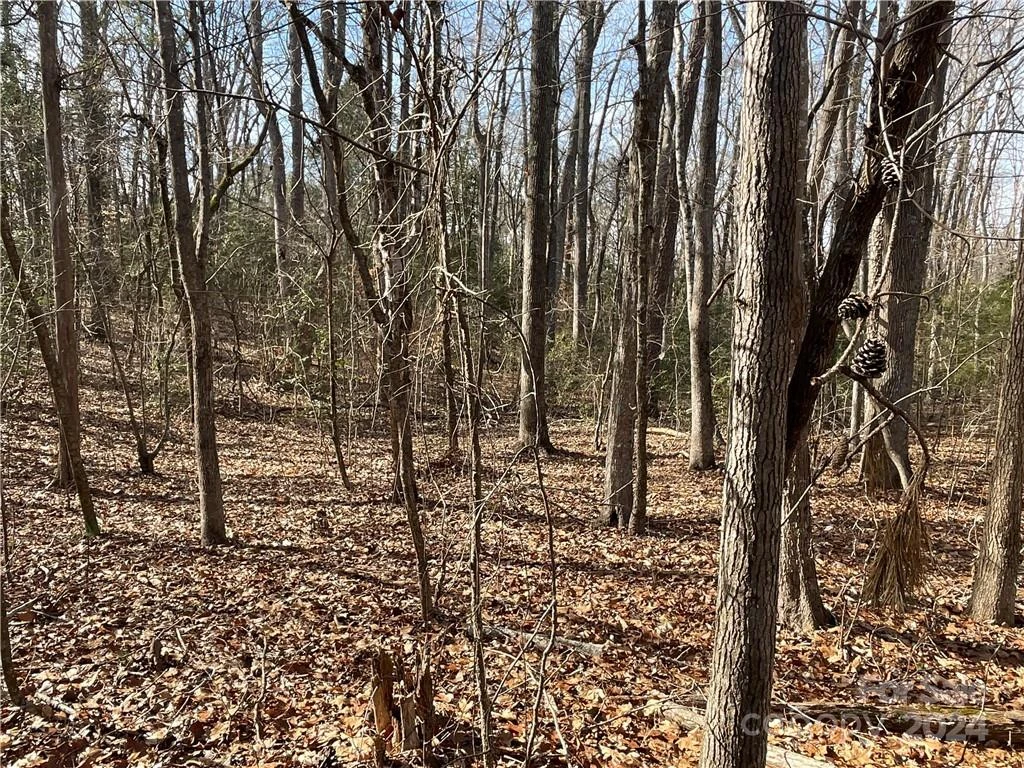 161 Little River Trail - Photo 18