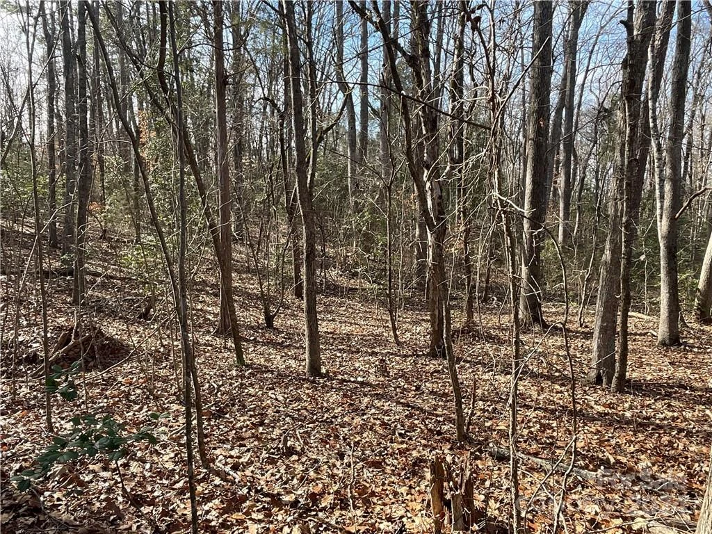 161 Little River Trail - Photo 19