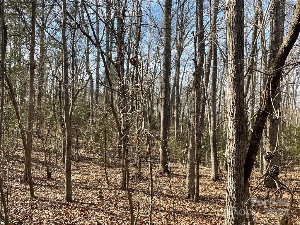 161 Little River Trail - Photo 20
