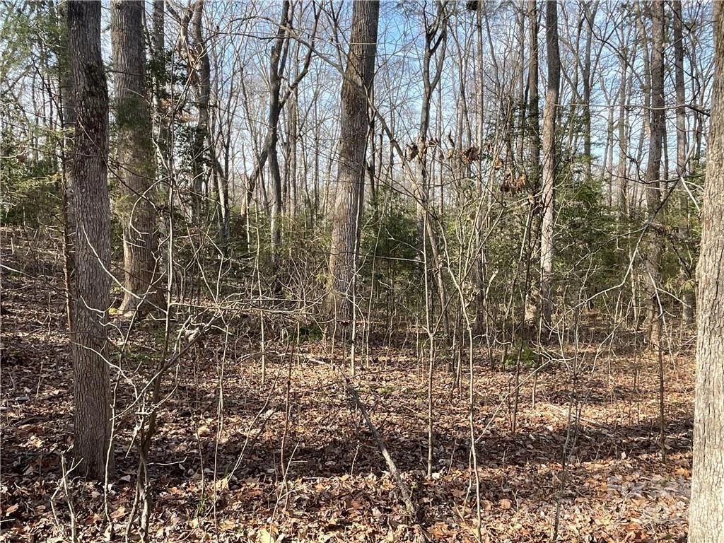 161 Little River Trail - Photo 21