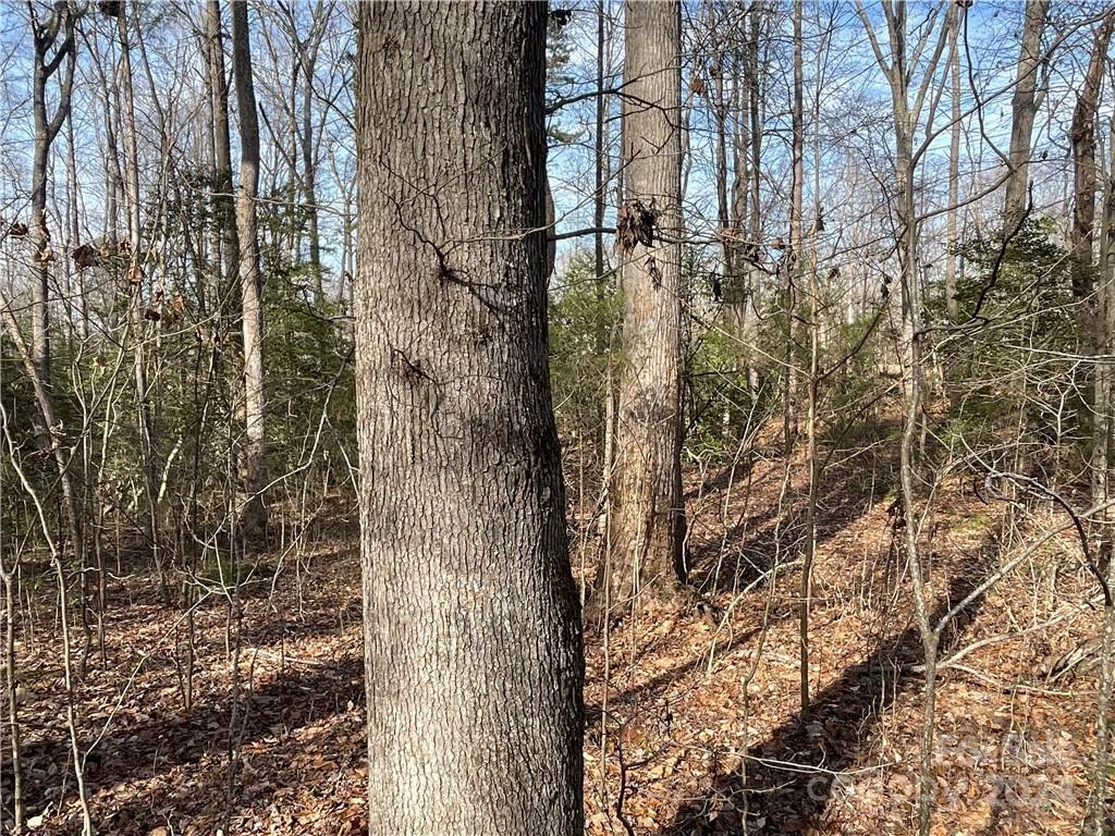 161 Little River Trail - Photo 22