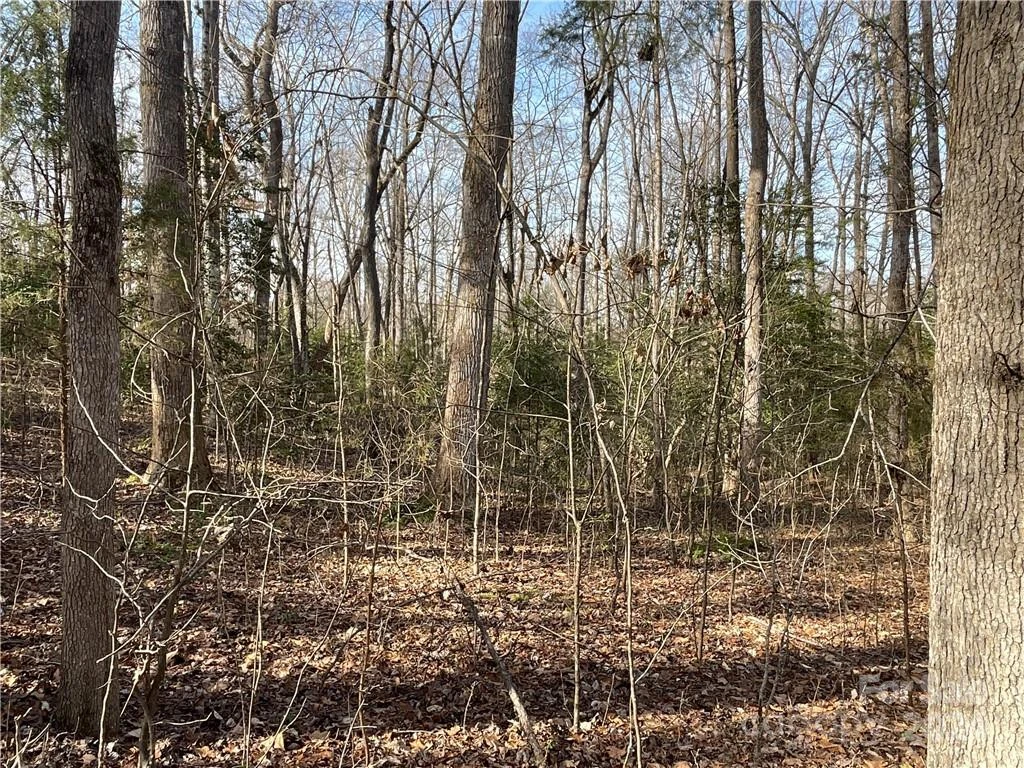 161 Little River Trail - Photo 23