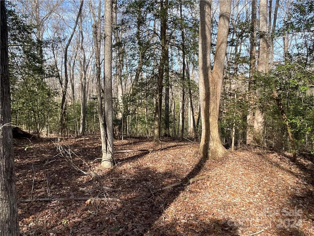 161 Little River Trail - Photo 24