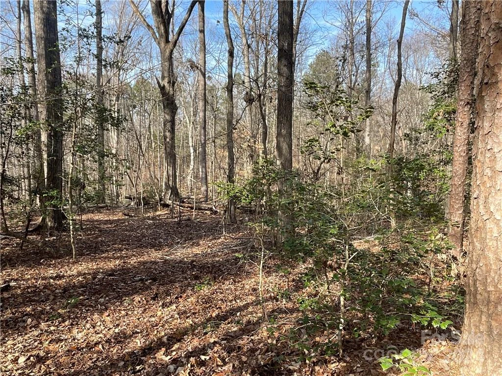 161 Little River Trail - Photo 25
