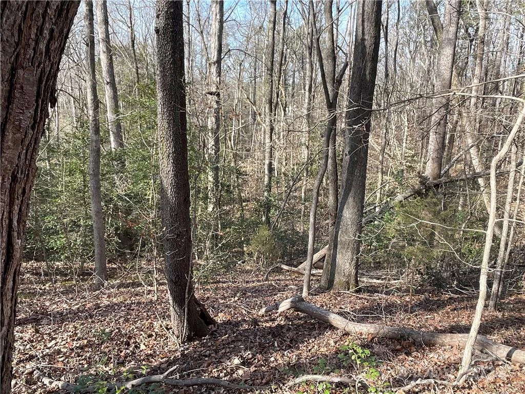 161 Little River Trail - Photo 26