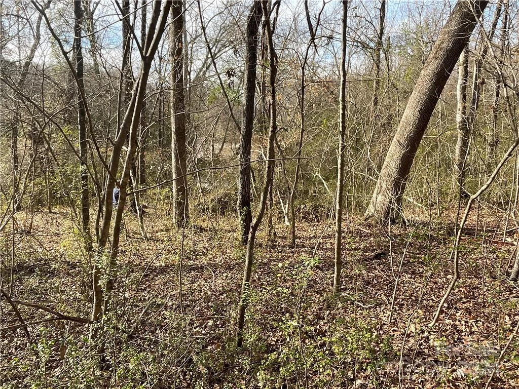 161 Little River Trail - Photo 27