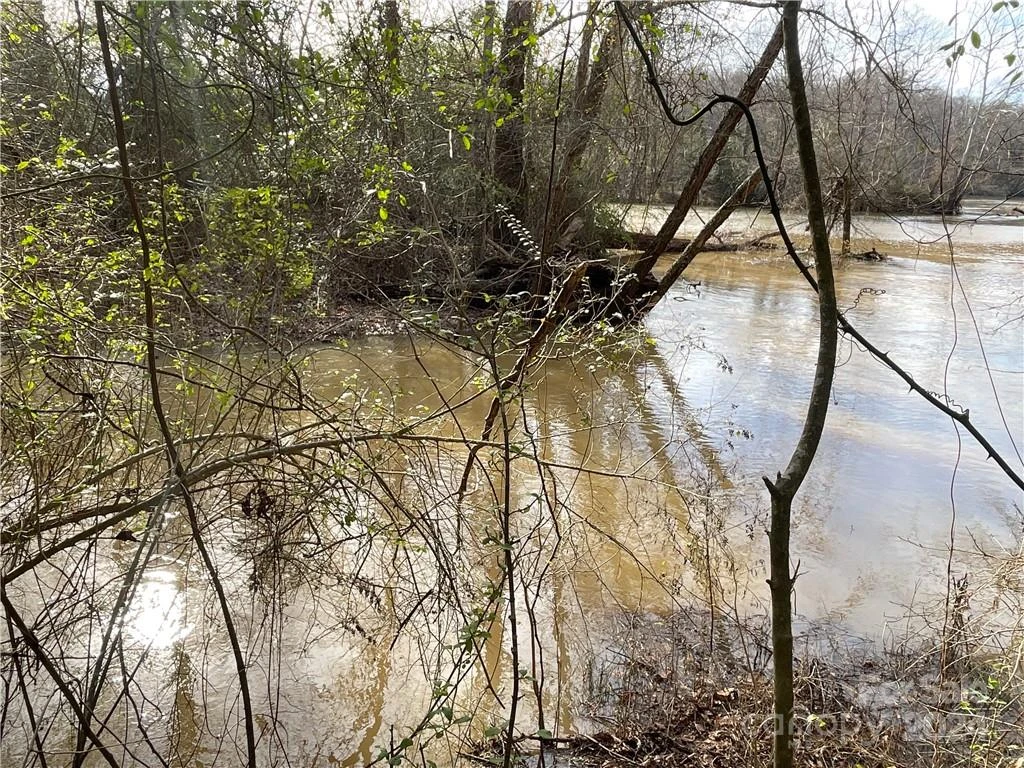 161 Little River Trail - Photo 4