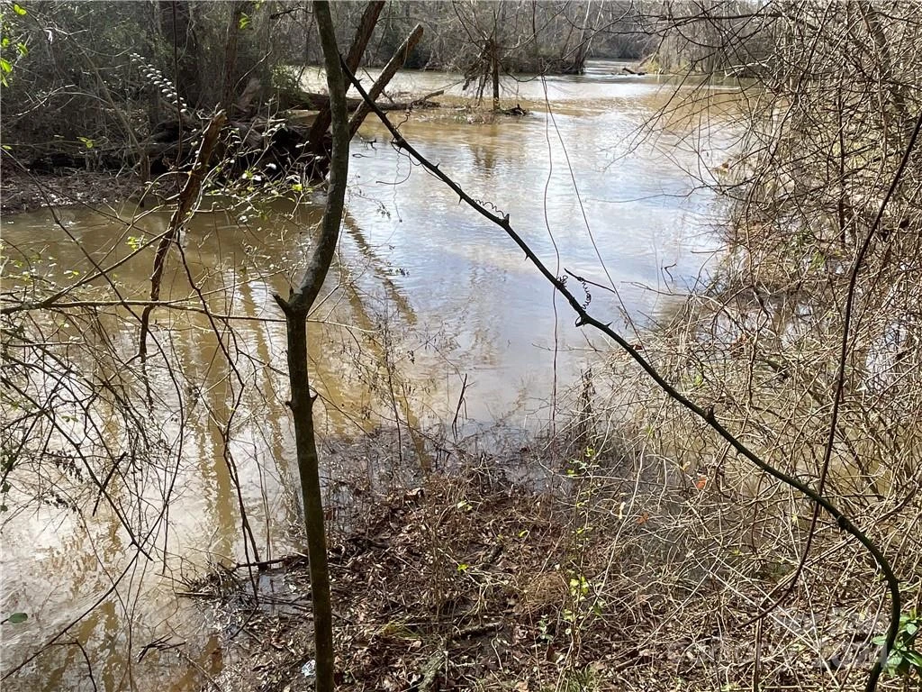 161 Little River Trail - Photo 5