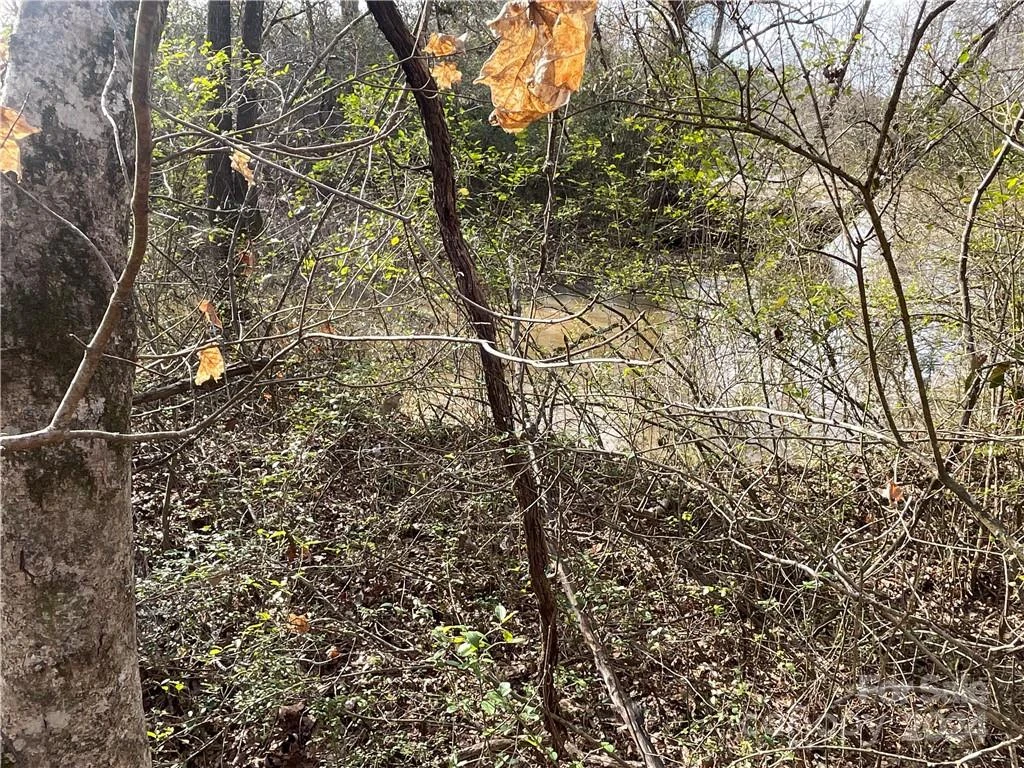 161 Little River Trail - Photo 6